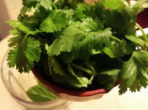 Adding the cilantro