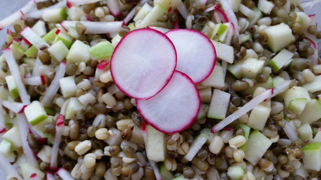 Mung Bean and Apple Salad