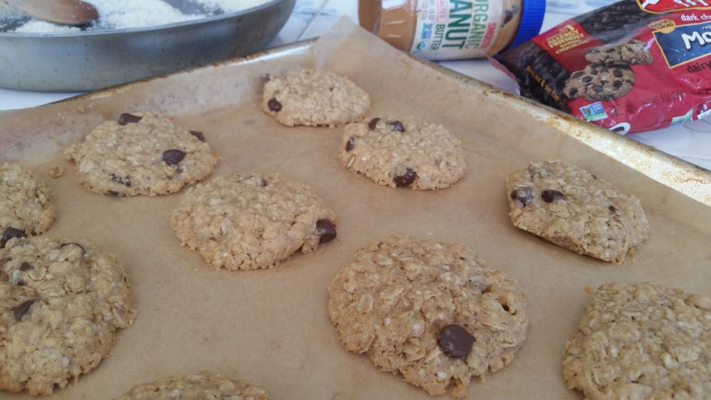 Salty Oat Cookies