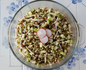 Mung Bean and Apple Salad