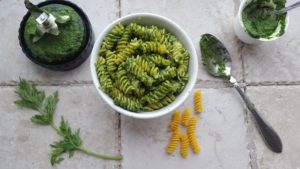 Carrot Top Pesto