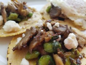 Oyster Mushroom & Edamame Tacos